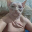 Лаврентий Палыч