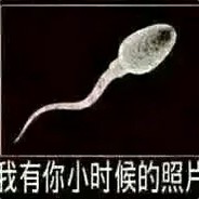 你的头像是条狗