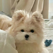 奶昔豆本豆豆奶