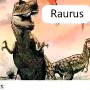 Please dont disturbing me