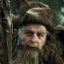 Radagast