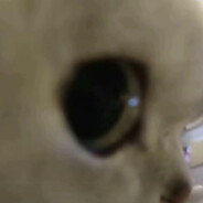 性感小妈辣辣辣