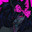 callie