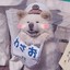 一个好看的艾迪