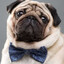xx_Pug gaminG_xx