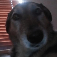 Quas - steam id 76561198035648490