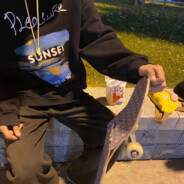 鱼总教你玩滑板