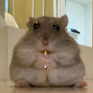 (БОТ) LASPERRRRRRRRRRRR