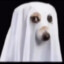 spookdog