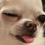 苹果充电器批发商