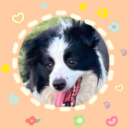 挖机机挖高材生李奶思