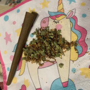 𝖇𝖑𝖊𝖘𝖘𝖊𝖉-