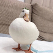 蟹老板与氟西汀Shine