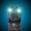 Random_9137