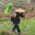 Chinese Farmer avatar