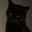 [iNdEcEnTe] Ts_ComEDoR69✞彡