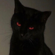 [iNdEcEnTe] Ts_ComEDoR69✞彡