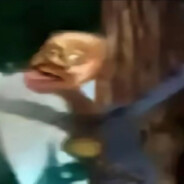 翻斗花园你强哥