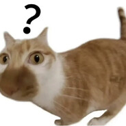 状态好能杀一个