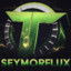 TID | SeymorFlux