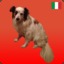 Fera The Evil Dog
