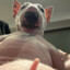 willy boy!