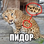 Дырявый тапок