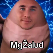 Mg_Žalud Steam avatar