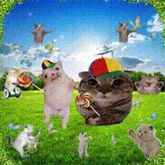 我踩到狗大便了