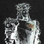 [F.D]Patogenesis