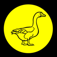 bradijm