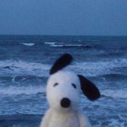 Вложился в МММ