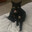 Astrocto