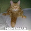 Perry The Peenerman