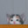 Go to player's stats SIF avatar