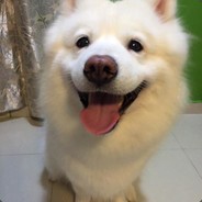 番茄就是西红柿