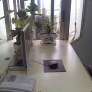 亿万万个基佬同时