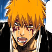 屹立悬崖边盛开的红花