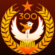 300ducks