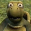 the turtle.