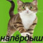 reivantik