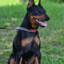 JaSsoN