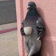S1ge0n