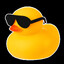 O DUCK