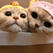 军事法庭关系户