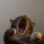 uDoneDeleted