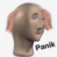 Panik