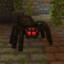 arachna