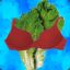 Sensual Lettuce