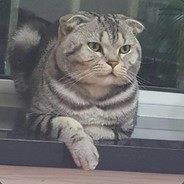 总有提莫要害朕